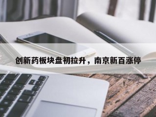 创新药板块盘初拉升，南京新百涨停